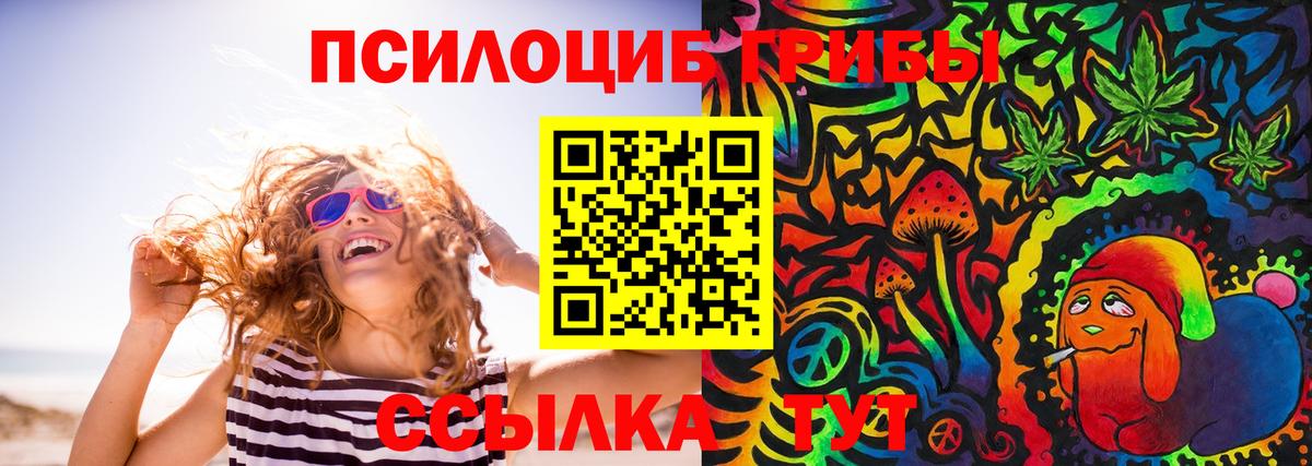 Псилоцибиновые грибы Magic Shrooms  Вход с VPN  Томск  Псилоцибиновые грибы прущие грибы 