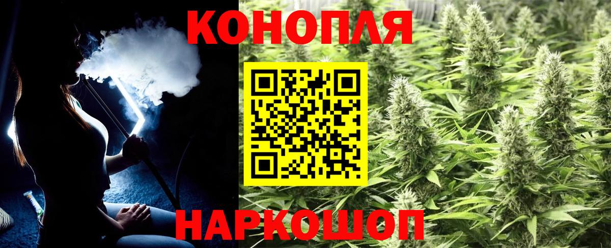 Бошки Шишки конопля Томск